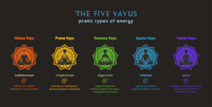 The Five Vayus of Pranic Energy Dark Infographic
