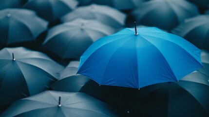 Blue umbrella on top of other gray umbrellas. Business and safety concept