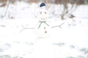 snowman enjoying the day