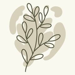 A simple line drawing of a plant branch with leaves on a light background.