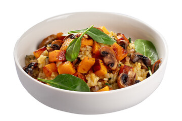 A vegan risotto with roasted pumpkin, mushrooms, and fresh spinach served in a white bowl on a light background