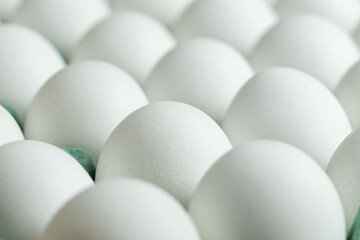 White eggs in cardboard box. Egg box.