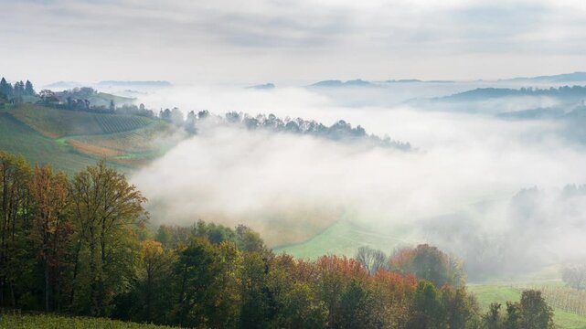 Time-lapse video of morning mists creeping over the picturesque, autumn-covered hills near Maribor, close to the Austrian border in Slovenia