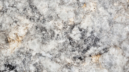 Naklejka premium Natural stone surface with unique patterns and textures in light gray and black shades