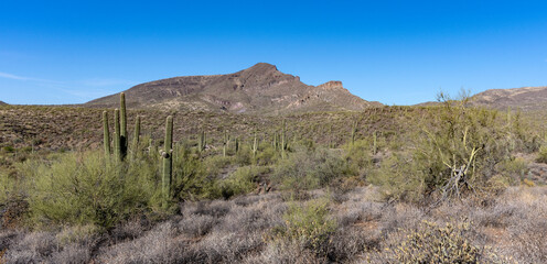 A panoramic picture of the Elephant Mountain in Arizona