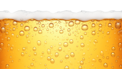 beer with bubbles border isolated on transparent background cutout