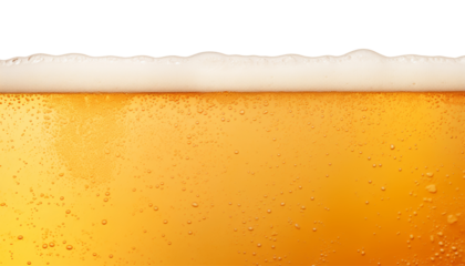 beer with foam border isolated on transparent background cutout