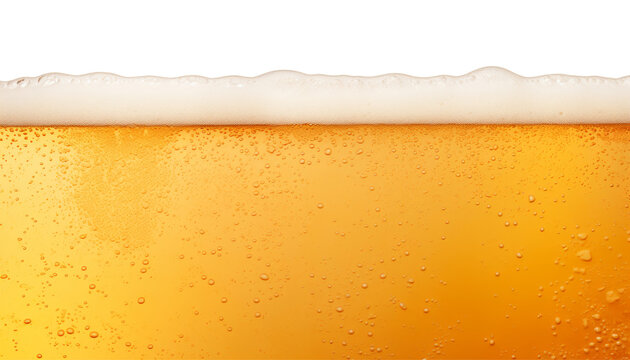 beer with foam border isolated on transparent background cutout
