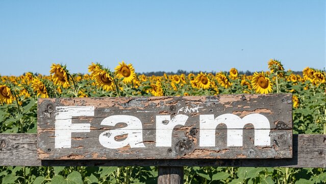 Weathered Farm sign on wooden fence near sunflower field under blue sky - Powered by Adobe