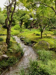 A Garden in Kyoto