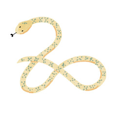 Illustration of a Curvy Snake