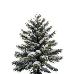 Christmas night in the city