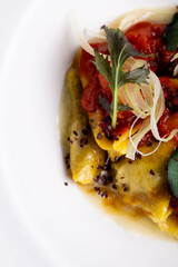 Italian pasta, ravioli, with tomato and vegetables.