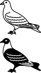 Pigeon Icons. Black and White Vector Illustrations. Dove, Bird. Agriculture, Farming. For Coloring Book Design. Domestic Animals Concept