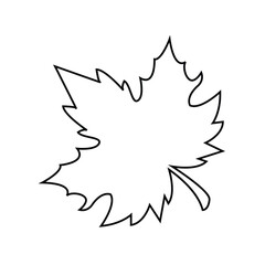 Maple leaves icon collection isolated on white background. vector illustration.