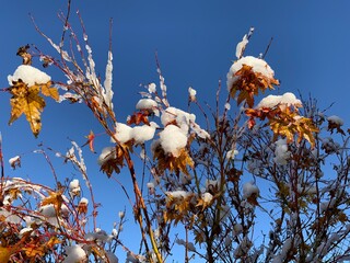 AUTUNNO 2024