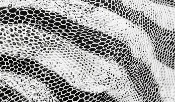 Faux leather pattern resembling snakeskin. Featuring lines and spots structural texture. Modern, abstract illustration with a cool, artsy background. Black design, isolated on white. EPS10