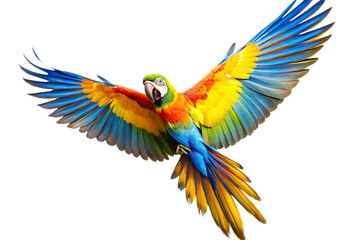 Fototapeta premium flying parrot isolated on white background as transparent. PNG. AI GENERATED.