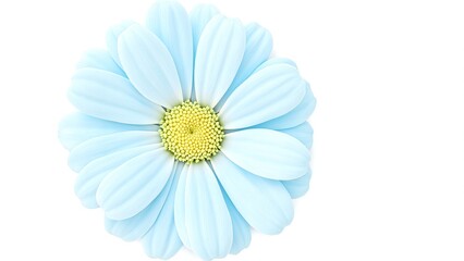Obraz premium Pastel blue daisy with yellow center on white backdrop