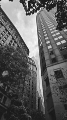 Panorama of a big city