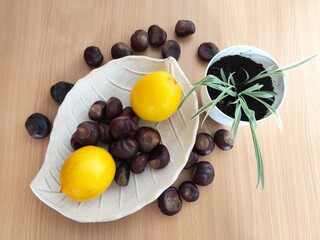 Yellow lemons and shiny brown chestnuts on the table