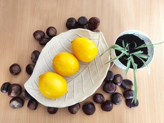 Yellow lemons and shiny brown chestnuts on the table