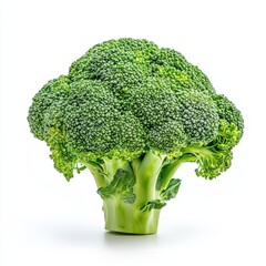 Fresh and vibrant broccoli, perfect for healthy recipes and nutrition-focused meal planning.