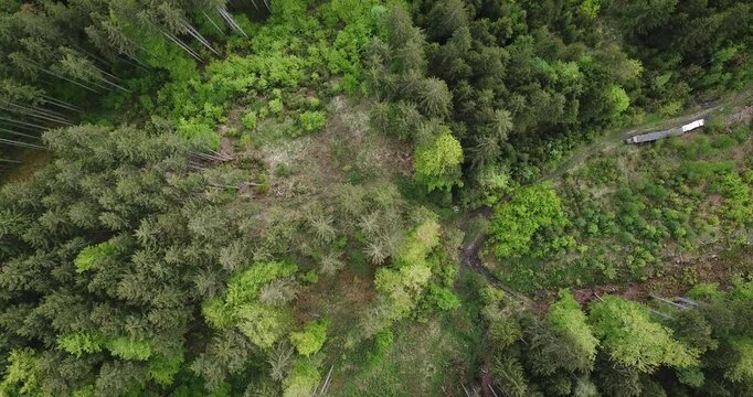 Aerial view, drone flight over a forest and Alps in the background at Staffelsee in Bayern, Germany