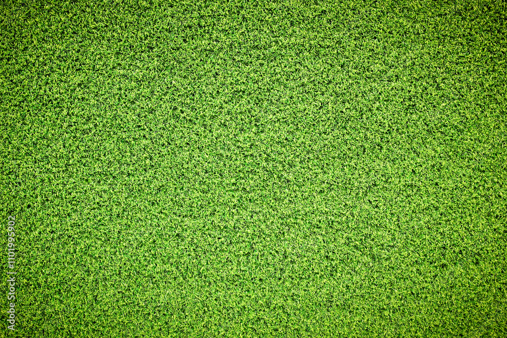 Canvas Prints artificial grass texture background.