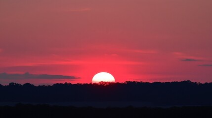 Vibrant red sunset over silhouetted trees.