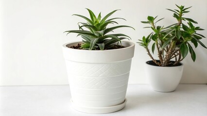 Fototapeta premium High-rise plant pot on plain white background, modern planters, vertical gardening, decorative pot, urban decor