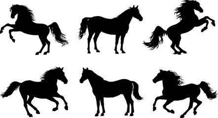 Vector set horse silhouette