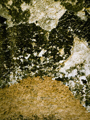 Grungy section of wall ideal for backgrounds