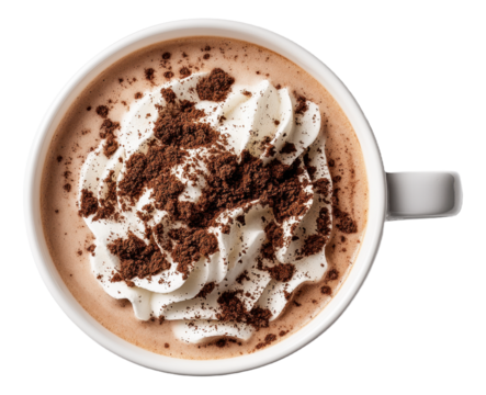 Hot chocolate with whipped cream and cocoa powder in a white mug