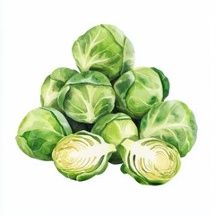 Obraz premium Fresh Green Brussels Sprouts Stacked on White Background