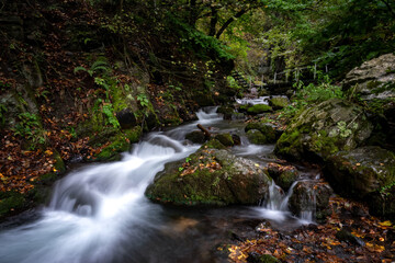 Mountain forest stream with waterfall in the Caucasus, Russia