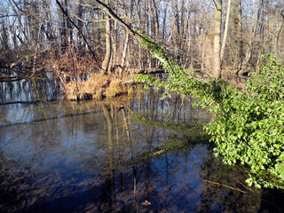 Austria, Pottendorf Castle and Park