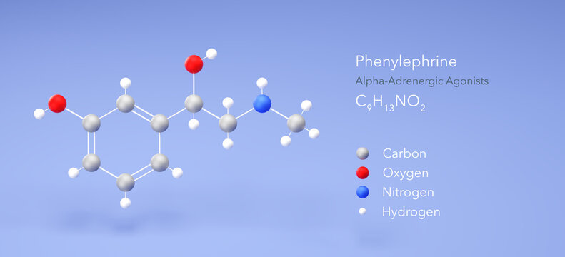 phenylephrine molecule, molecular structure, adrenergic agonist, 3d model, Structural Chemical Formula and Atoms with Color Coding