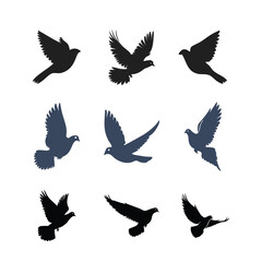 set of pigeons flying bird silhouette design 