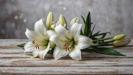 White lily flowers laying on rustic white wash old wood mockup surface with simple background © Toni DiSalvo