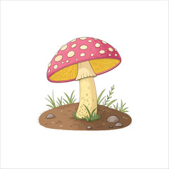 Mushroom vector illustration. Mushroom vector on white background.