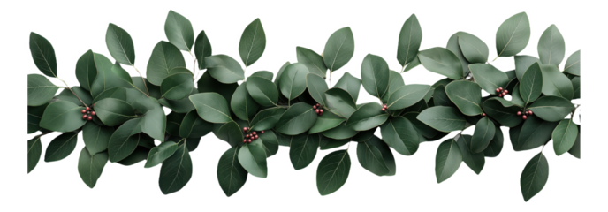 Green leaves with small red berries arranged in a horizontal line.