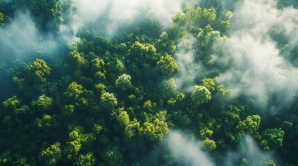 Carbon trading mechanisms to support carbon neutrality and emissions reduction 