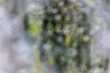 png très artistique, ressource graphique pour arrière plan, billes de bokeh artistique, flou, blanc, vert, nuances de couleur, rêve, fête