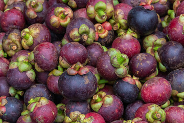 Pile of fresh mangosteens available for sale in supermarkets and markets in Thailand. Mangosteen is the queen of fruits.