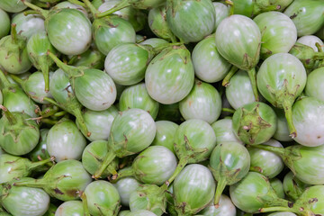 Fresh pile Thai eggplants or green brinjals in local market at Thailand.