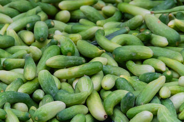 Cucumber is a nutritious fruit with a high water content, making it perfect for cooking.