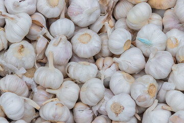 Pile a lot of garlic with abstract shapes. Garlic for cooking seasoning.