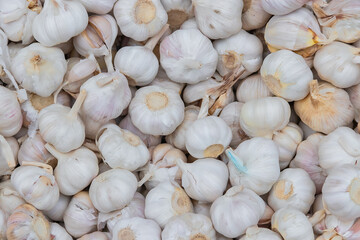 Pile a lot of garlic with abstract shapes. Garlic for cooking seasoning.