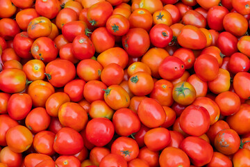 Pile of ripe and delicious red cherry tomatoes, a small round variety of tomato that is nutritionally valuable.